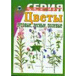 Цветы луговые, лесные, полевые